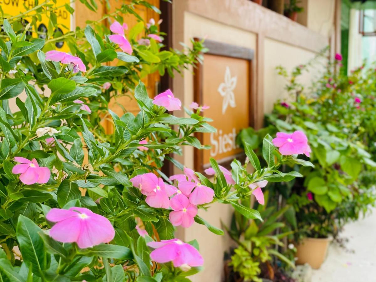 Siesta Beach Hotel Maafushi Ngoại thất bức ảnh
